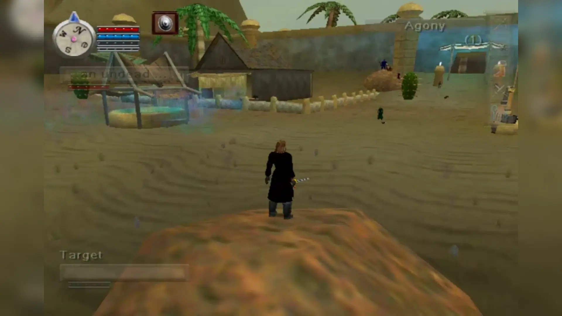 EverQuest Online Adventures gameplay screenshot 1