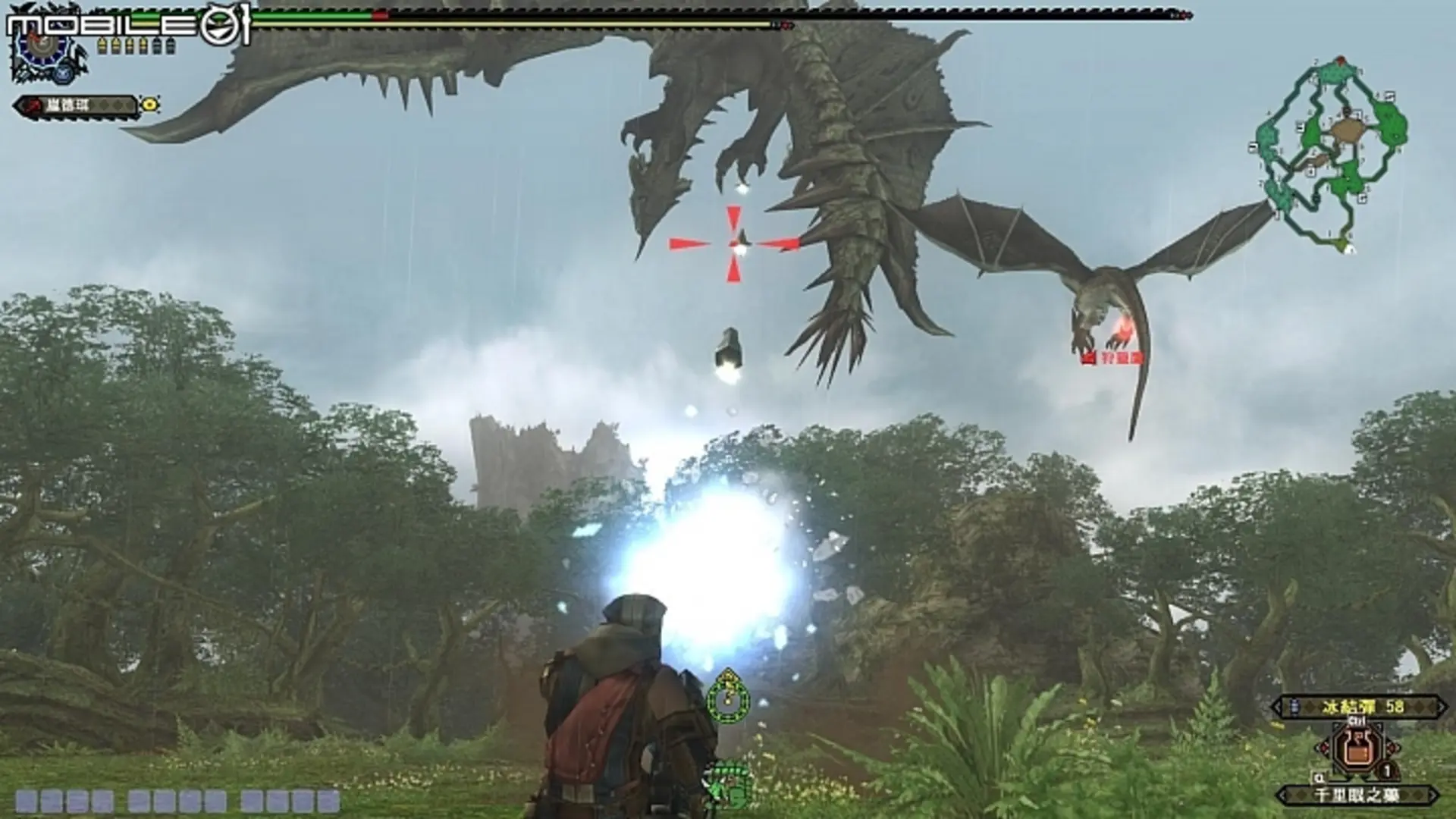 Monster Hunter Frontier G hunter aiming a bowgun at flying wyverns