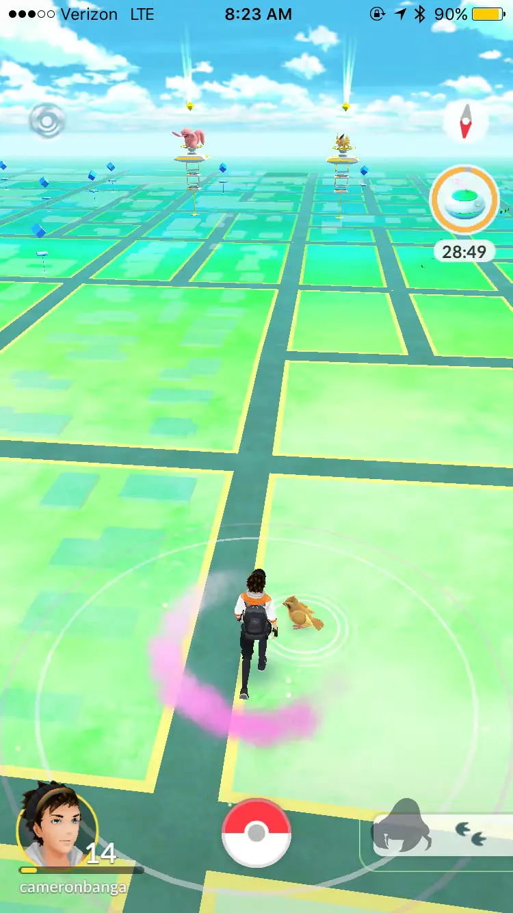 Pokemon Go gameplay screenshot 2