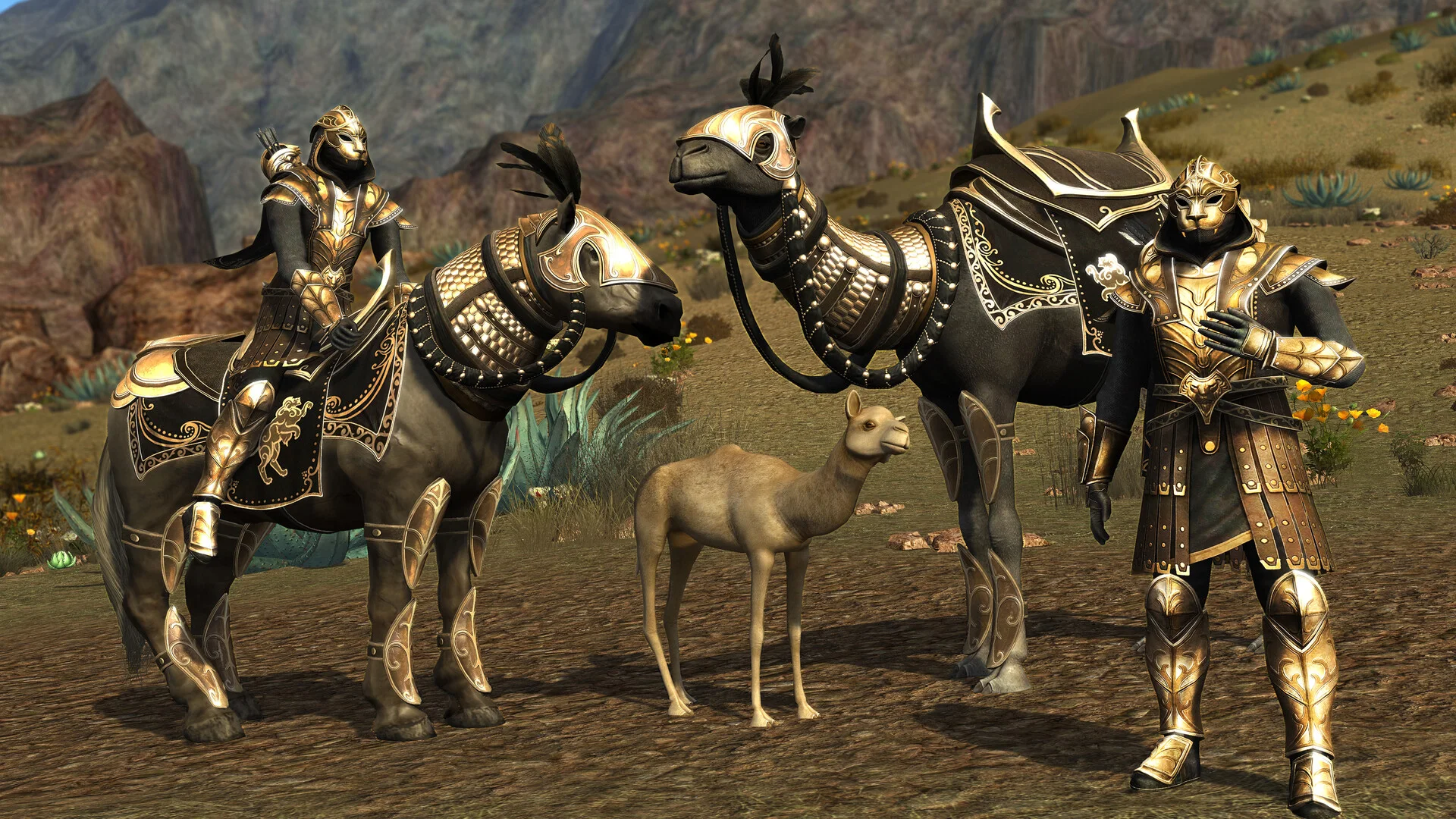 The Lord of the Rings Online gameplay featured in the MMOFinder editorial
