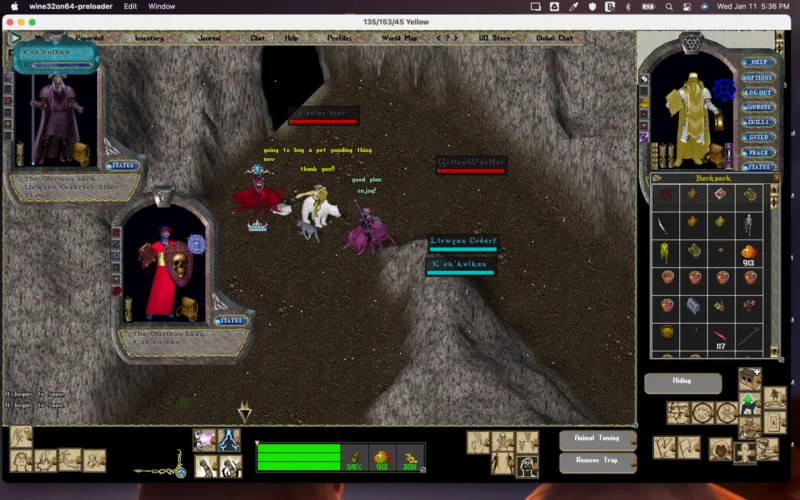 Ultima Online gameplay screenshot 2